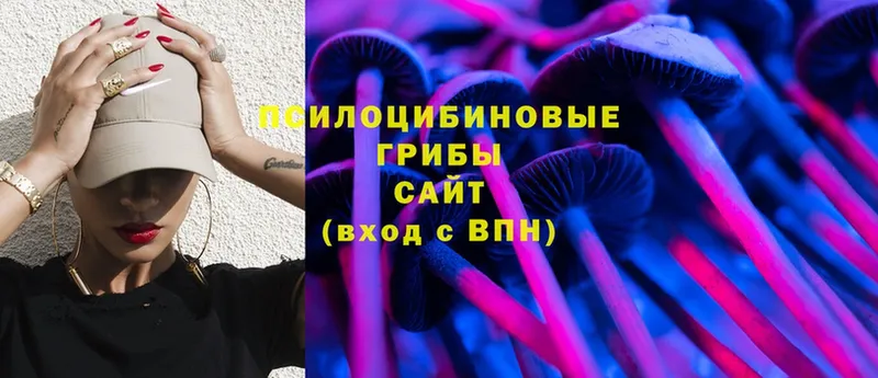 Псилоцибиновые грибы Cubensis  Татарск 